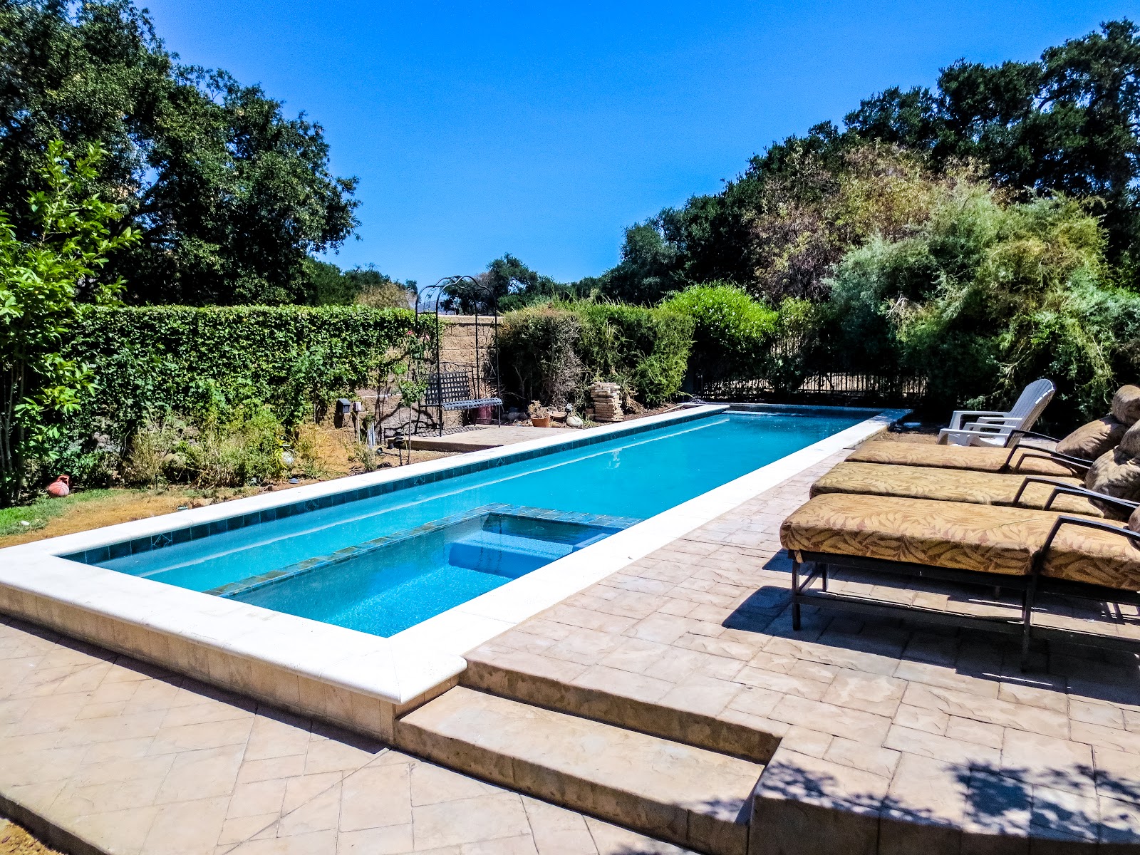 Custom Resort-Style Pool & Patio